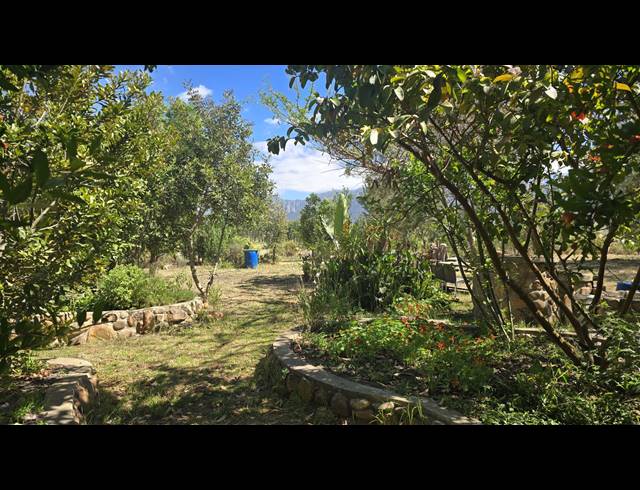 8,627M² FARM FOR SALE IN GREYTON